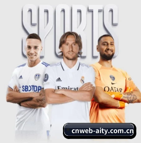 cnweb-aity.com.cn的方向